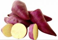 OS BENEFÍCIOS DA   BATATA  DOCE PARA A SAÚDE