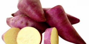 OS BENEFÍCIOS DA   BATATA  DOCE PARA A SAÚDE